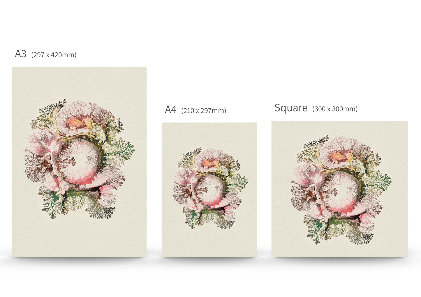 Blooms of Solace