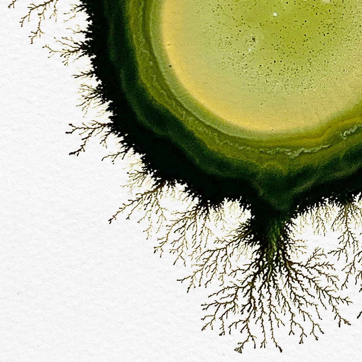 Mother Gaia