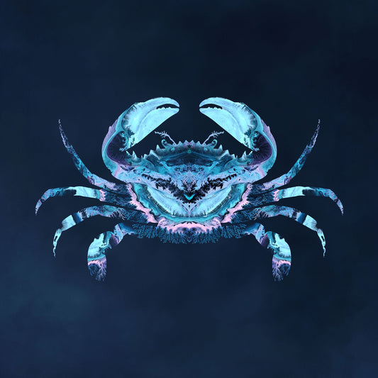 'Crab'