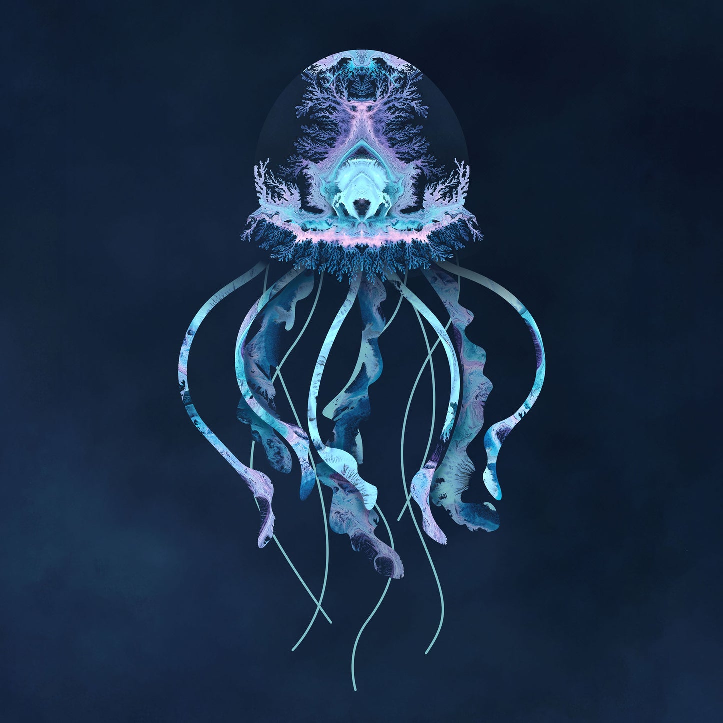 'Jellyfish'