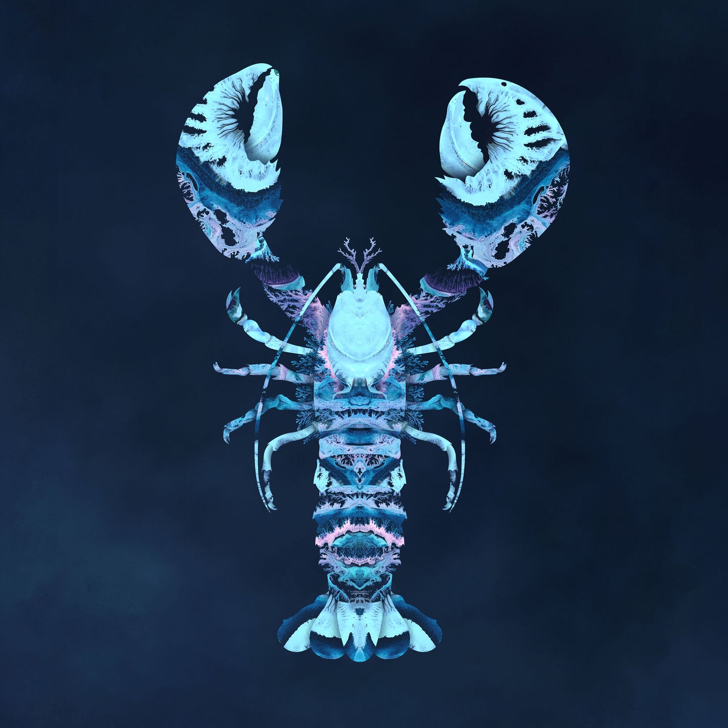 'Lobster'