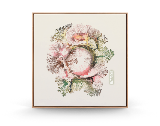 Blooms of Solace