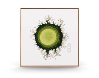 Mother Gaia