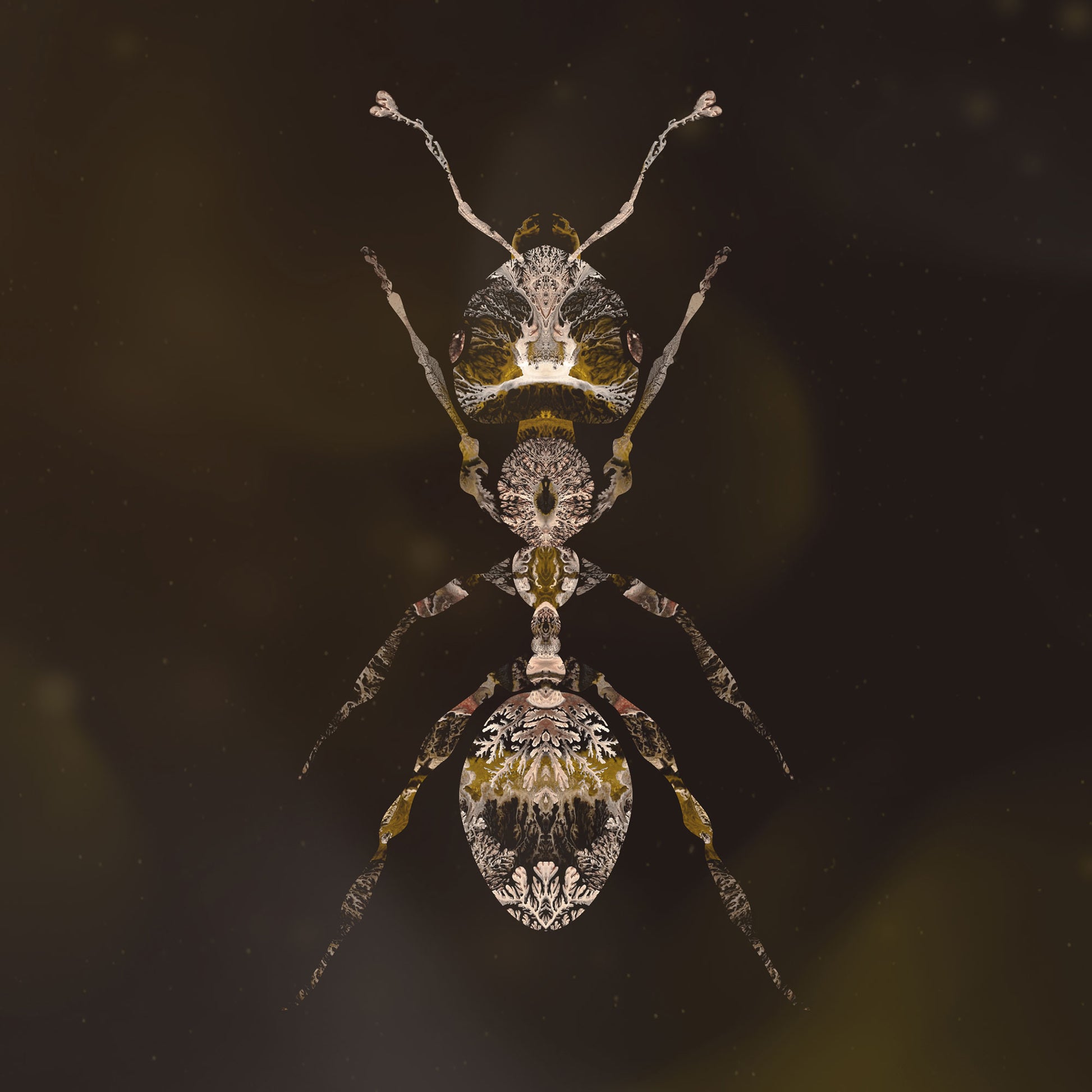 Ant Enchanted Entomology dendrite art print by COZZAH