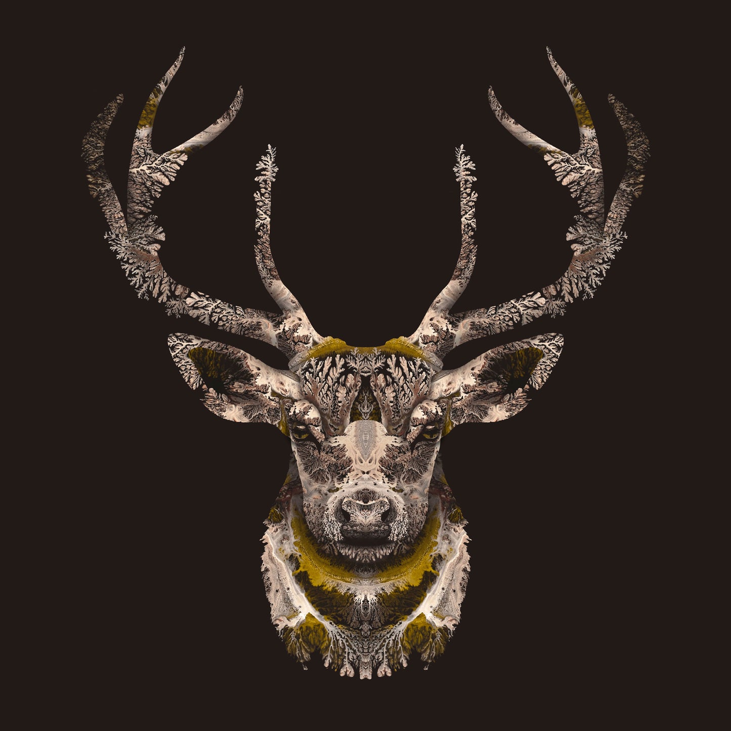 'Deer'