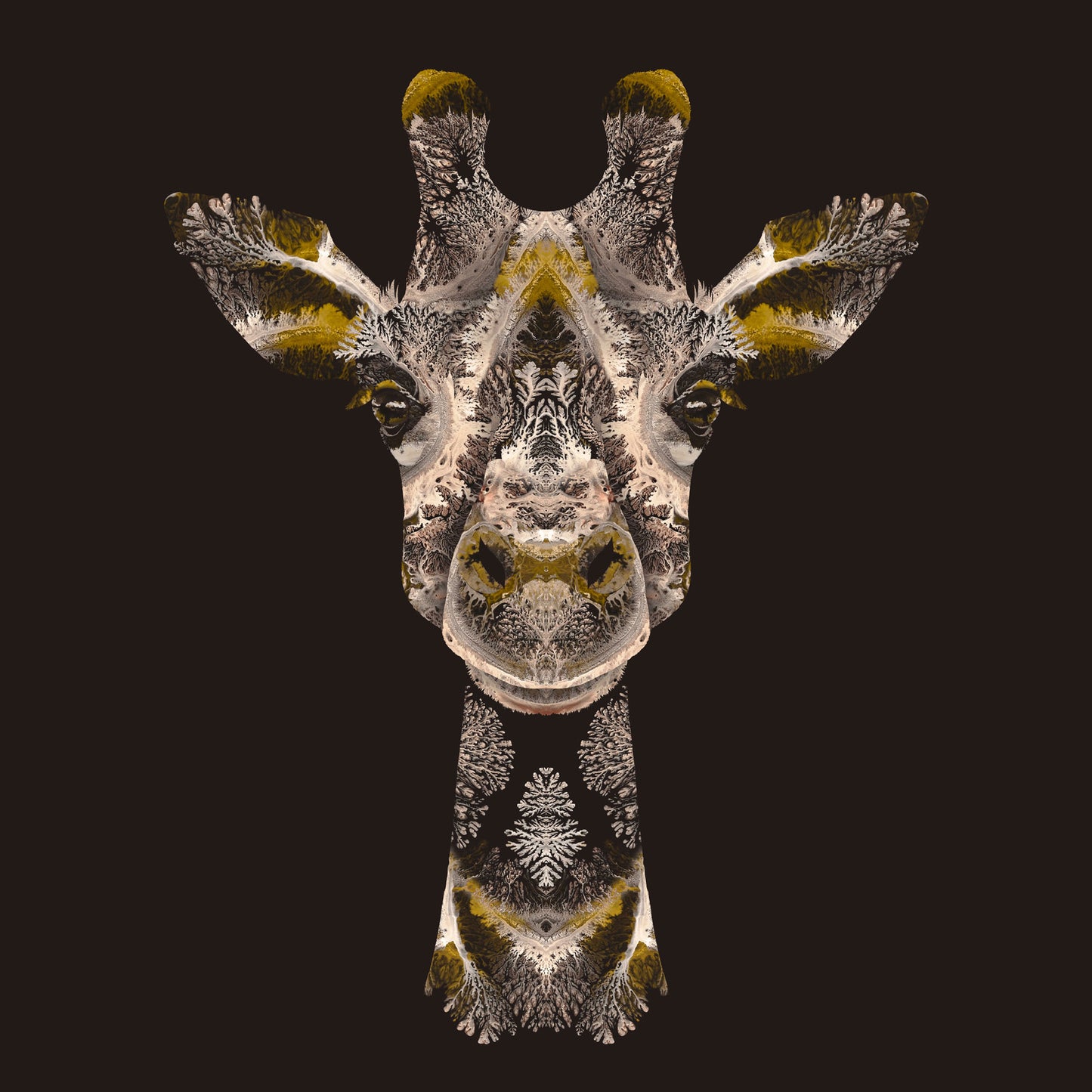 'Giraffe'