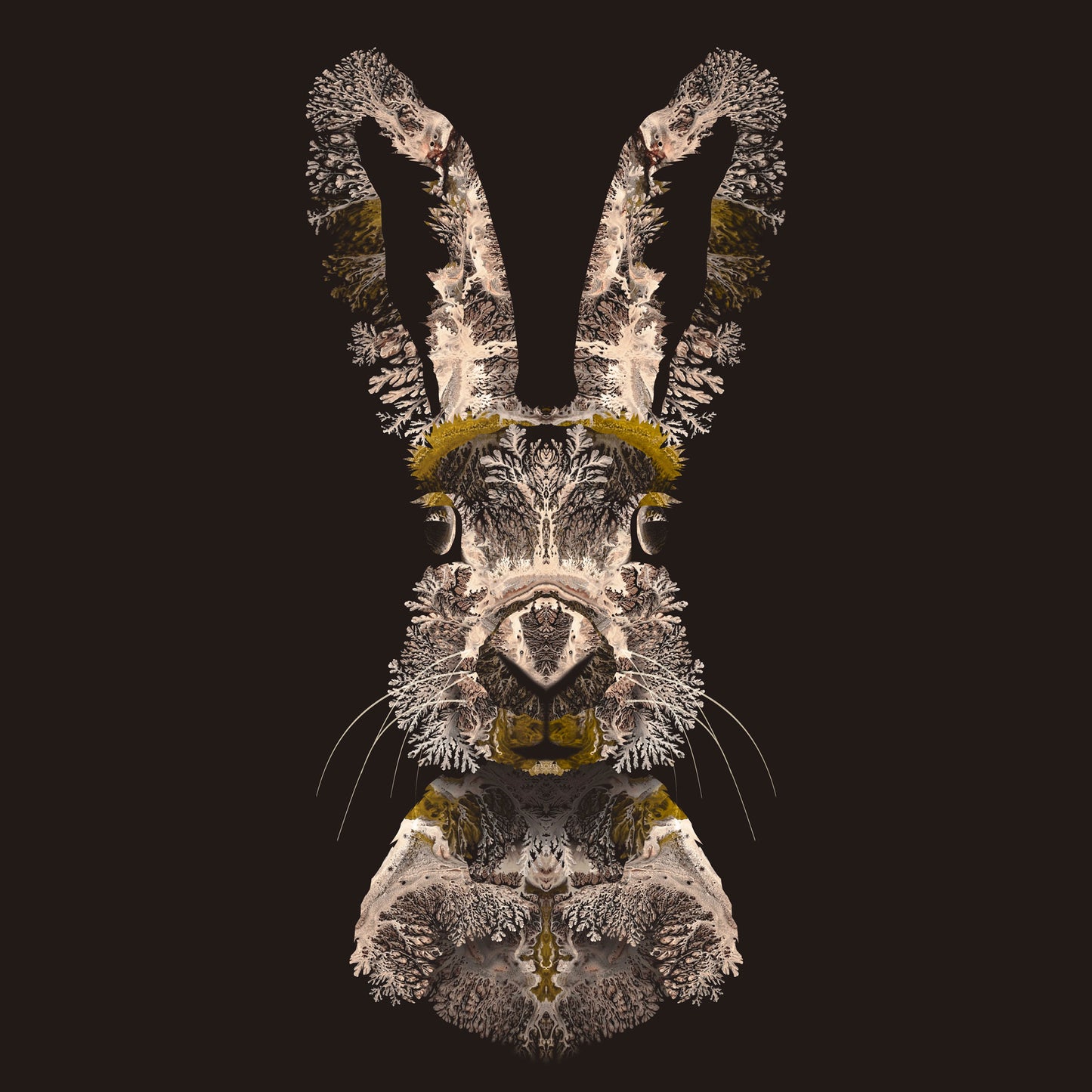 'Hare'
