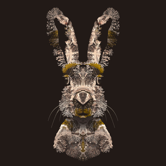 'Hare'