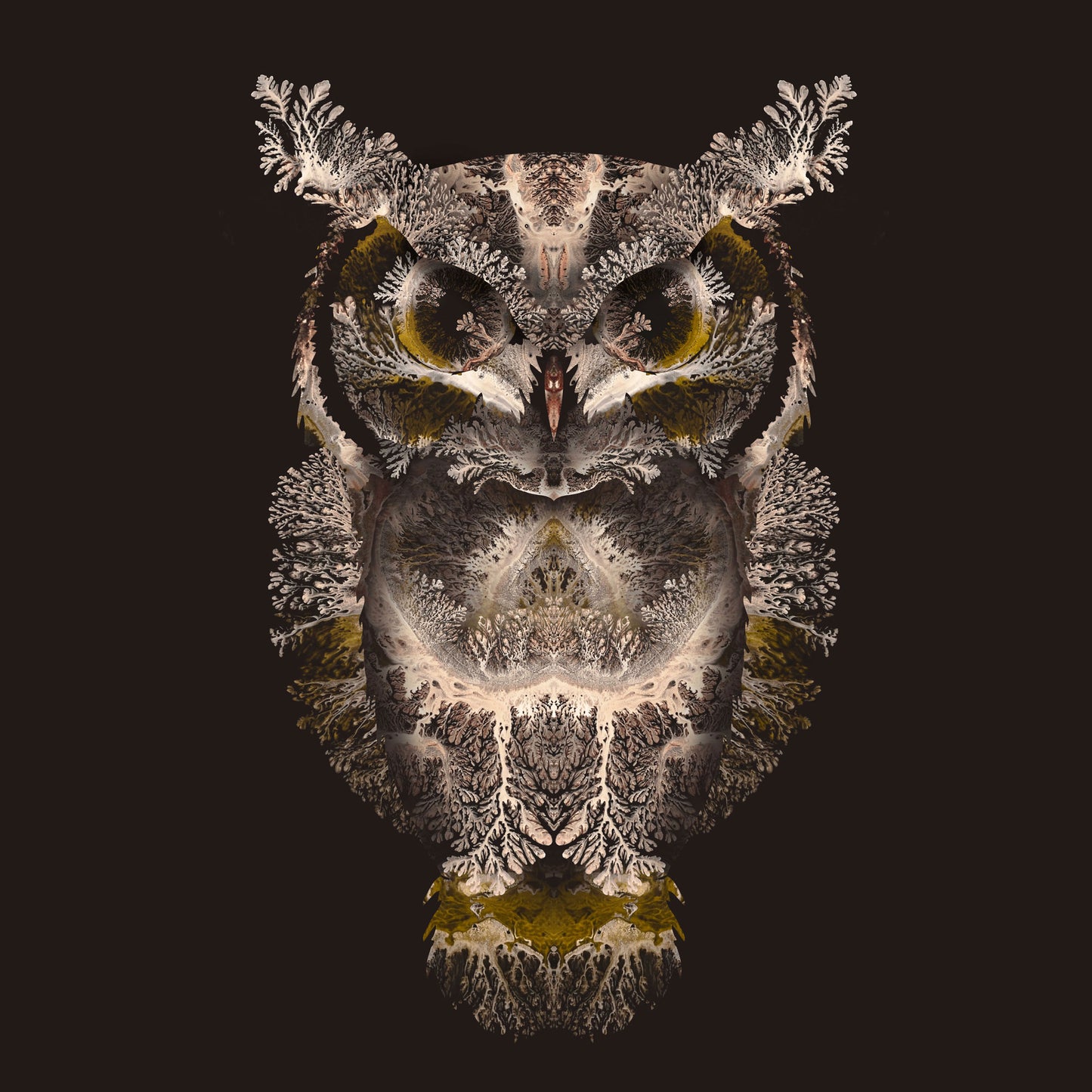 'Owl'