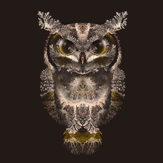 'Owl'