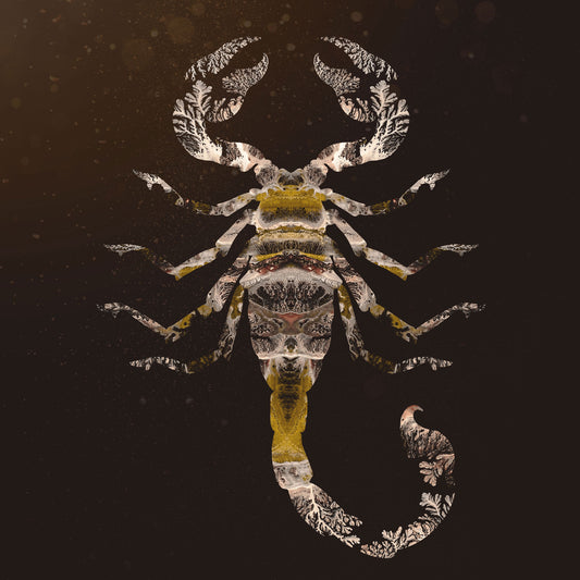 'Scorpion'