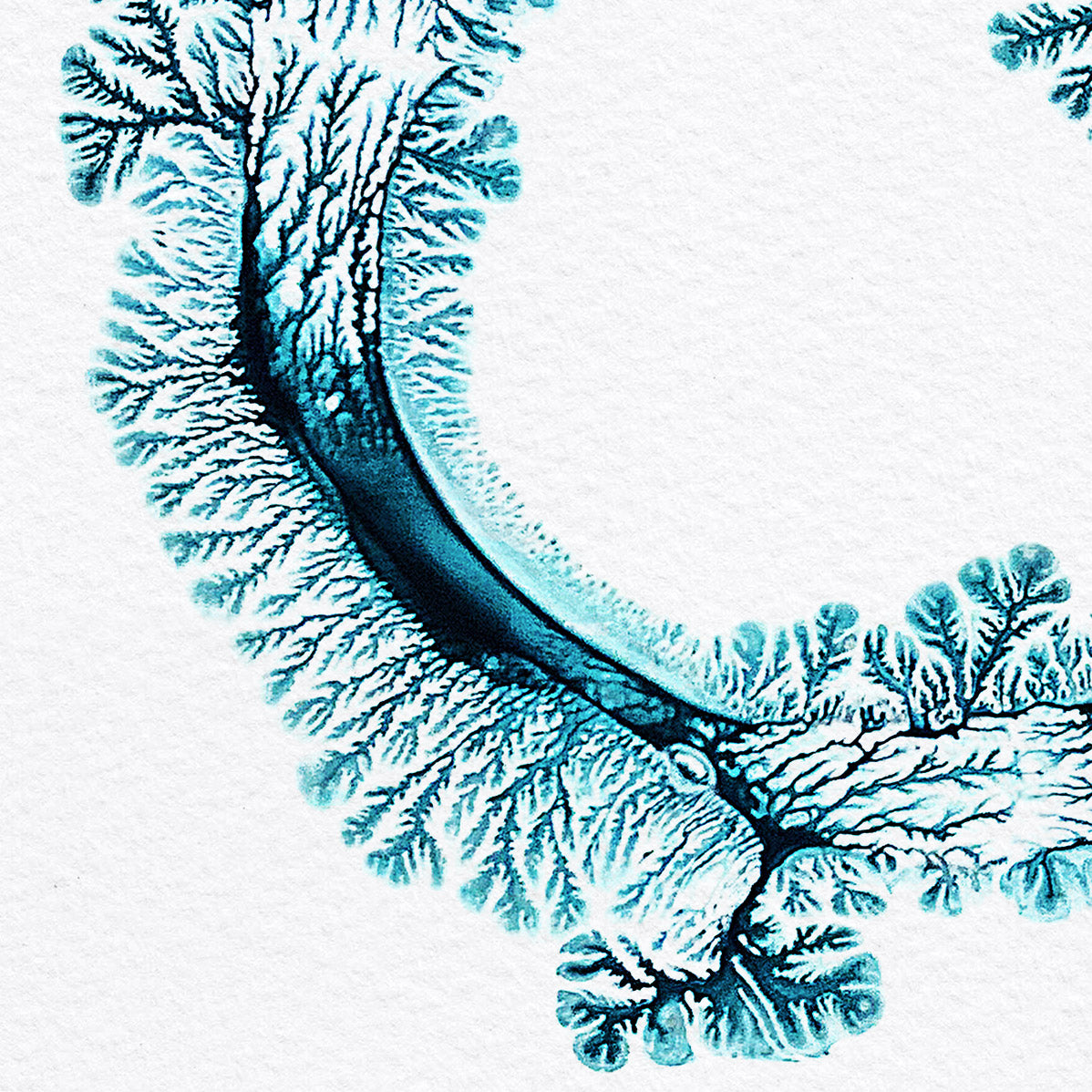 Soul Sea